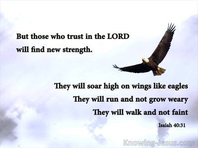 Isaiah 40:31 Those Who Trust In The Lord Will Soar (silver)